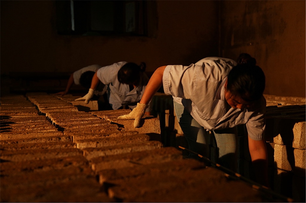 匠人師傅正在翻動曲胚。張?zhí)炝z