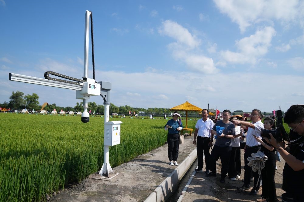 在北大荒集團(tuán)閆家崗農(nóng)場(chǎng)有限公司農(nóng)業(yè)現(xiàn)代化示范區(qū)，工作人員在介紹利用數(shù)字技術(shù)的葉齡診斷儀（2023年8月10日攝）。新華社記者 王建威 攝