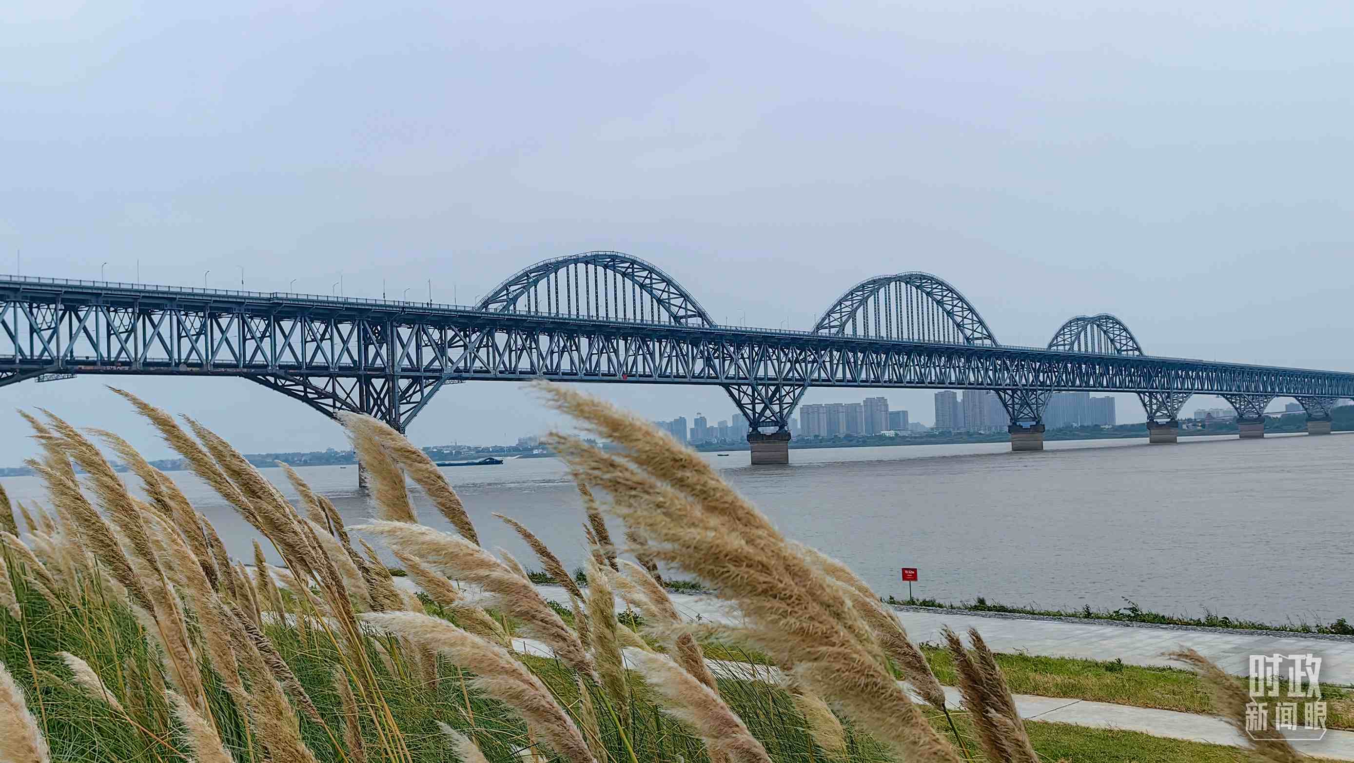 △長江國家文化公園九江城區(qū)段。（總臺央視記者段德文拍攝）