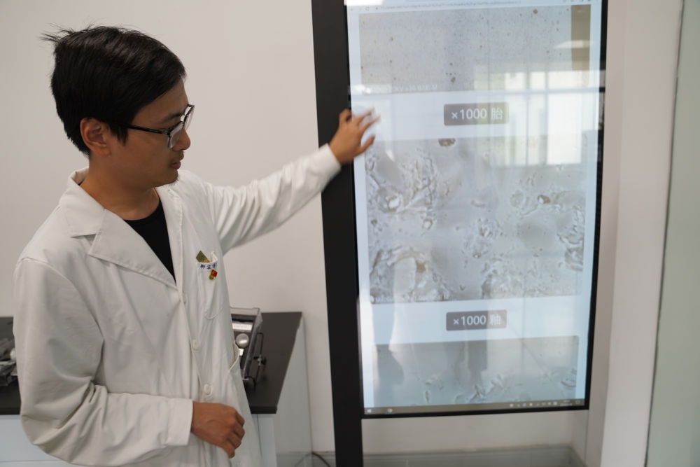 ↑ 工作人員展示瓷片標(biāo)本的配方研究數(shù)據(jù)（2023年5月16日攝）。