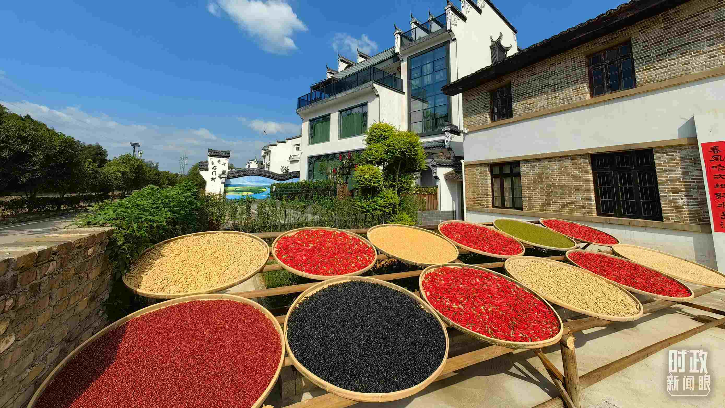 △曬秋農(nóng)俗成為婺源鄉(xiāng)村的一道美麗風(fēng)景。（總臺(tái)央視記者段德文拍攝）