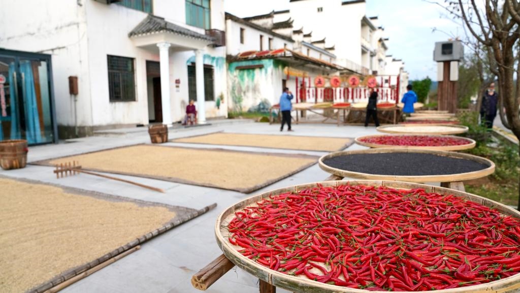 近日拍攝的江西省上饒市婺源縣秋口鎮(zhèn)王村石門(mén)自然村。新華社記者 胡晨歡 攝