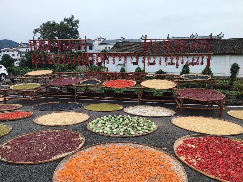 近日，江西省上饒市婺源縣秋口鎮(zhèn)王村村民晾曬的農(nóng)作物。新華社記者 劉佳敏 攝