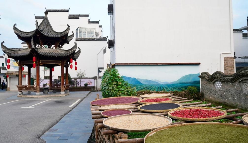 近日拍攝的江西省上饒市婺源縣秋口鎮(zhèn)王村石門(mén)自然村曬秋場(chǎng)景。新華社記者 胡晨歡 攝