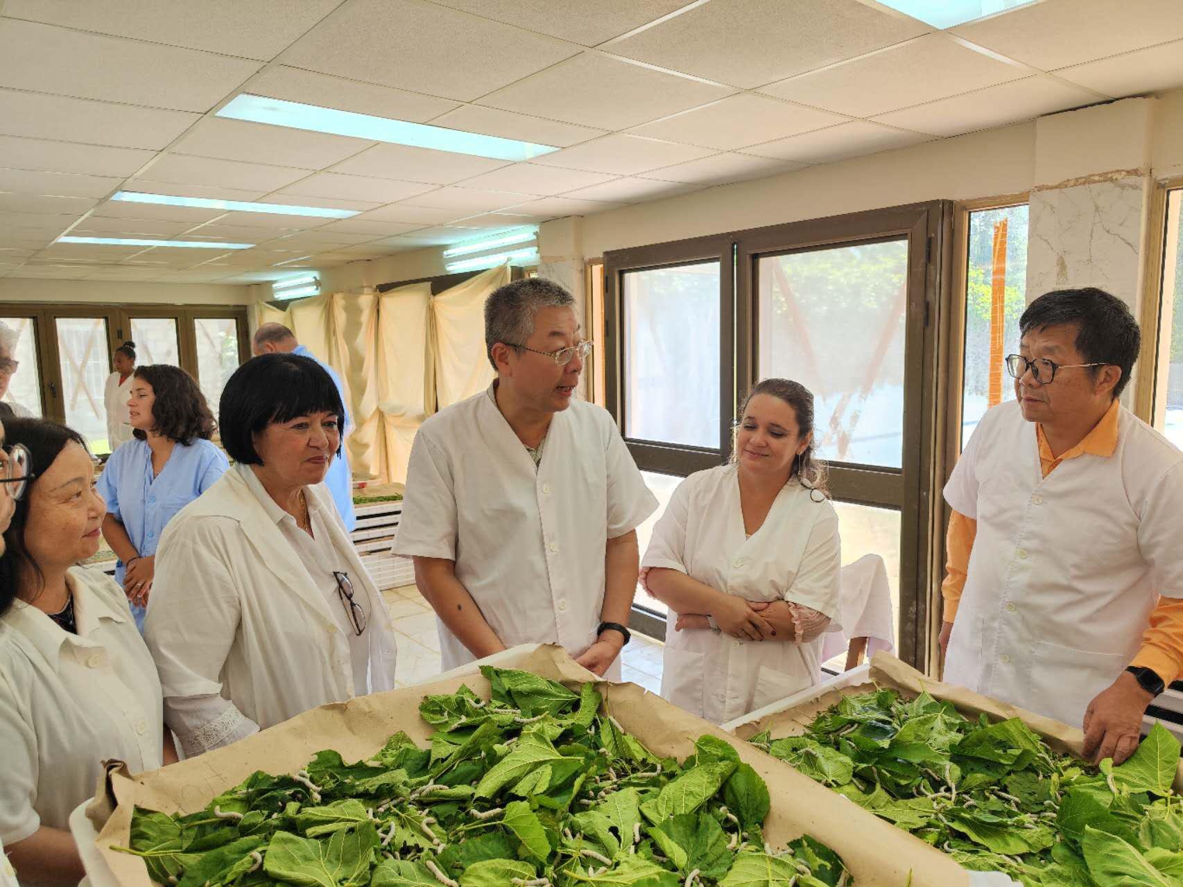 2023年5月23日，中國駐古巴大使馬輝考察古中蠶?？萍己献髦行摹碓矗褐袊v古巴大使館官網(wǎng)