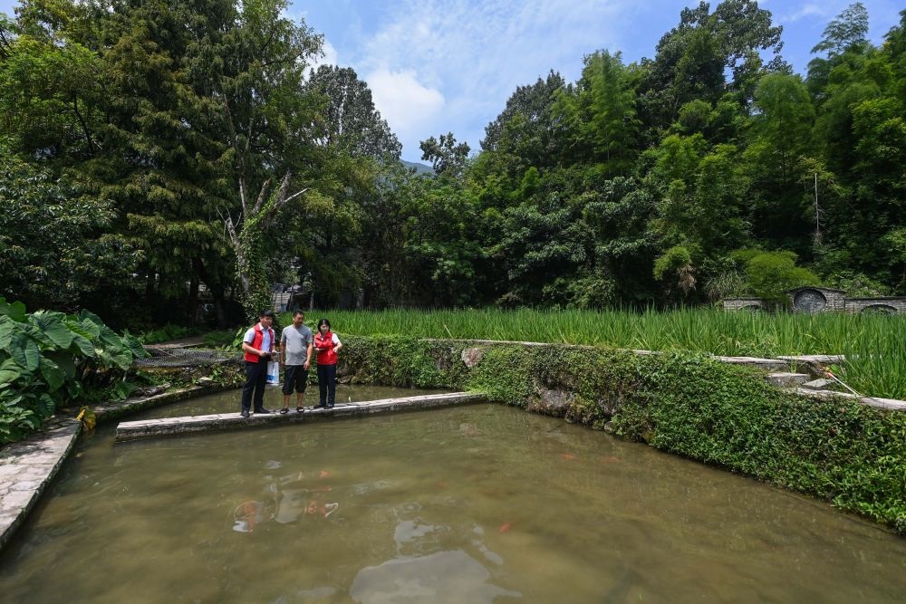 2023年8月17日，浙江省麗水市青田縣方山鄉(xiāng)田魚養(yǎng)殖戶吳勇強（中）在接受青田農(nóng)商銀行“小蜻蜓”服務(wù)隊志愿者提供的“惠民易貸”上門服務(wù)。近年來，青田縣金融發(fā)展中心聯(lián)合各個金融機構(gòu)優(yōu)化配套鄉(xiāng)村振興金融服務(wù)，推出“惠民易貸”“農(nóng)家樂貸”等金融產(chǎn)品，重點支持涉農(nóng)龍頭企業(yè)及特色種養(yǎng)殖產(chǎn)業(yè)。新華社記者 徐昱 攝