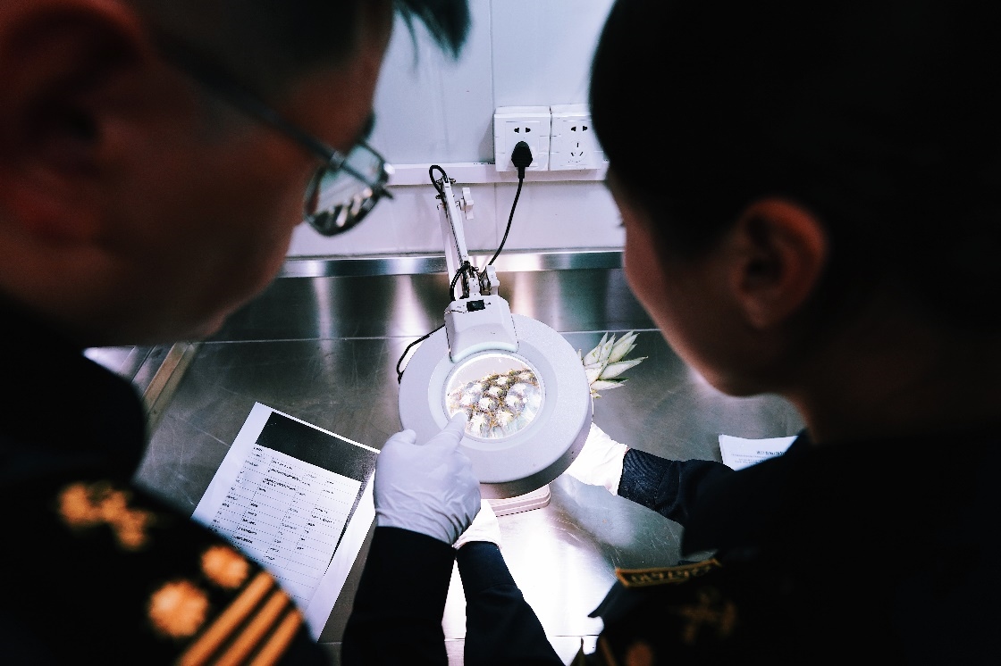 上海海關(guān)關(guān)員針對(duì)檢疫性有害生物和農(nóng)藥殘留進(jìn)行檢疫檢驗(yàn)。陳興洲攝