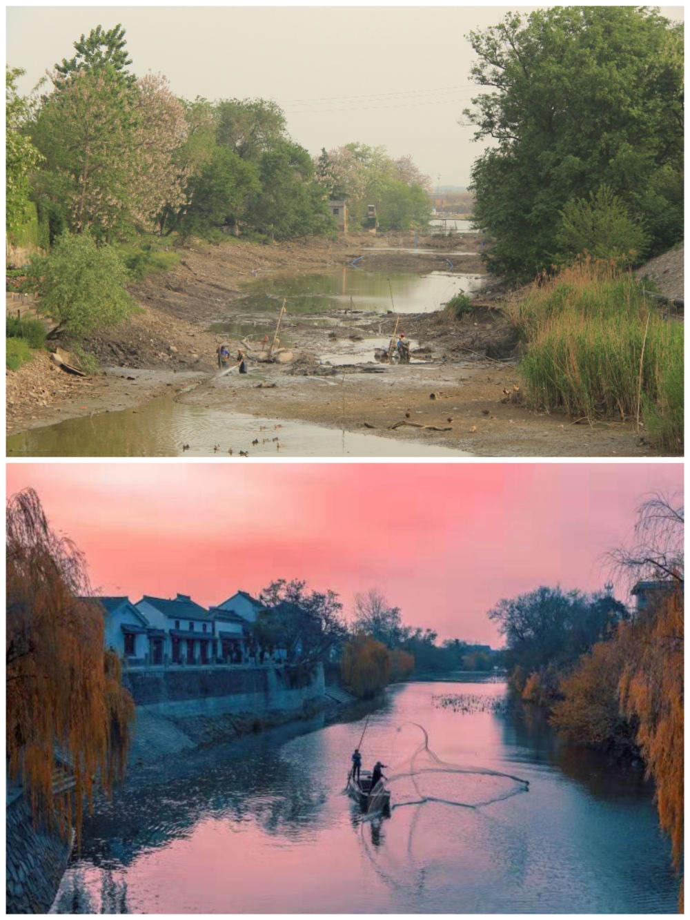 江蘇省揚州市江都區(qū)明清運河故道整治前后。（上圖：2012年；下圖：2020年）（孫友定 攝）