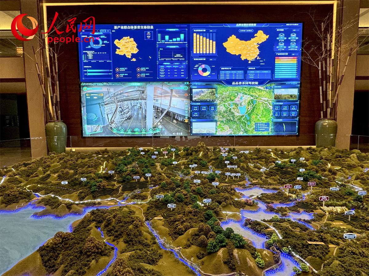 品品香白茶產(chǎn)業(yè)園信息中心數(shù)智化大屏。人民網(wǎng)記者 劉微攝