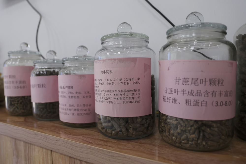 這是12月13日在來賓市興賓區(qū)小平陽鎮(zhèn)一家飼料廠拍攝的以甘蔗尾葉為原料制成的飼料。