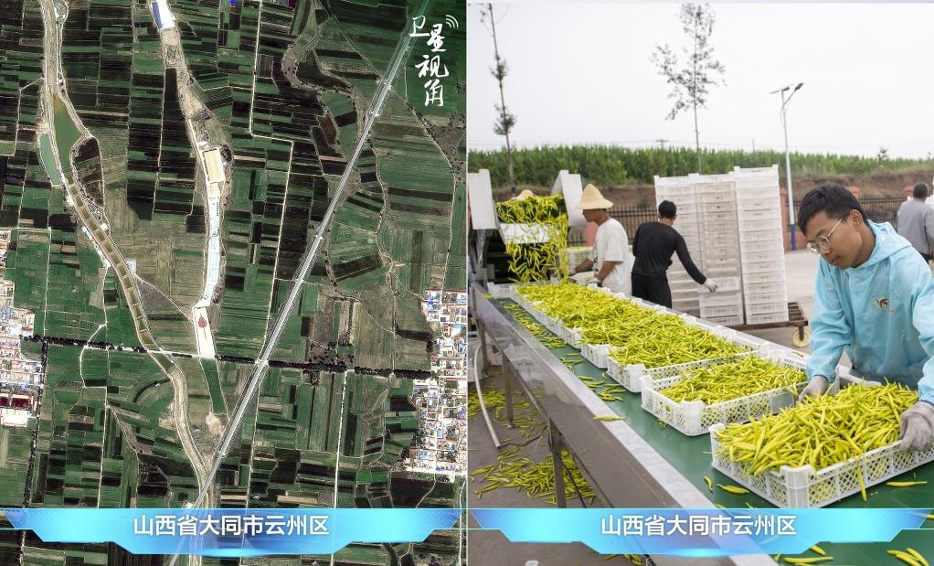 當(dāng)前，大同市開發(fā)黃花菜品、食品、飲品、功能食品、化妝品、文創(chuàng)產(chǎn)品六大系列130余種，全產(chǎn)業(yè)鏈產(chǎn)值超40億元。