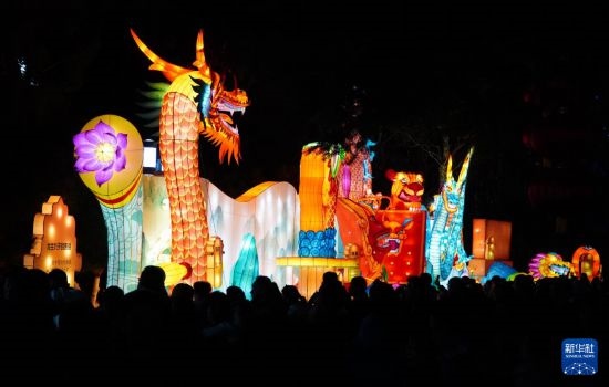 2月11日晚，人們?cè)跐?jì)南市趵突泉公園觀賞花燈。