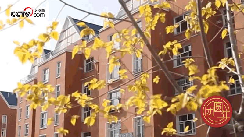 △ 近年來，內(nèi)蒙古阿爾山市牢記總書記的囑托，開始進行大規(guī)模的棚戶區(qū)改造，城市功能和人居環(huán)境顯著提升。