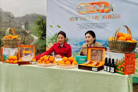 2021年2月26日，在重慶渝北區(qū)大盛鎮(zhèn)青龍村舉辦的直播活動(dòng)現(xiàn)場(chǎng)。