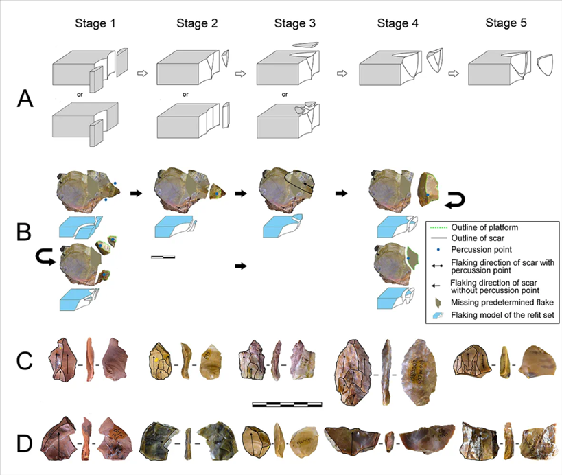 岑家灣遺址“準(zhǔn)備石核技術(shù)”及相關(guān)石制品。（受訪單位供圖）
