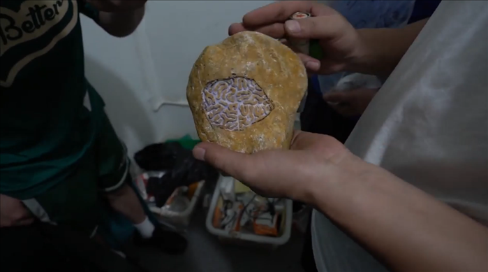 經(jīng)過“開窗”上色的“翡翠原石”（武漢市公安局武昌區(qū)分局供圖）