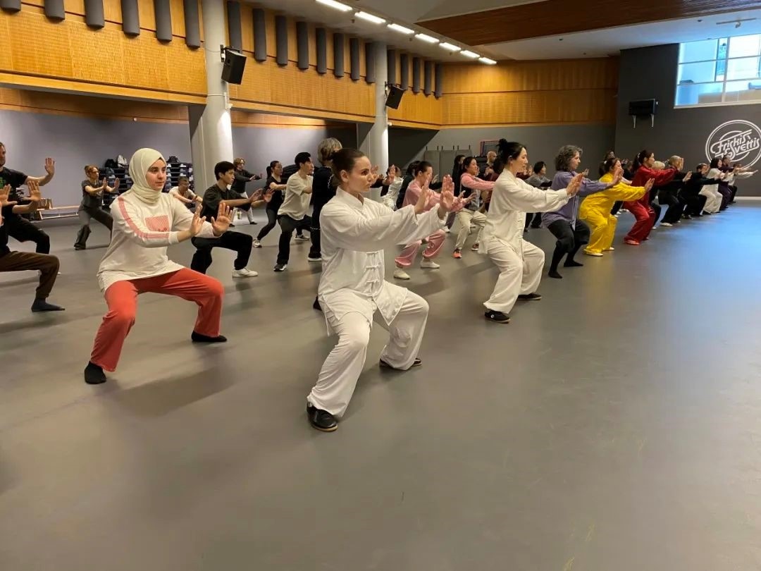 培訓班學員學習太極拳。斯德哥爾摩中國文化中心供圖