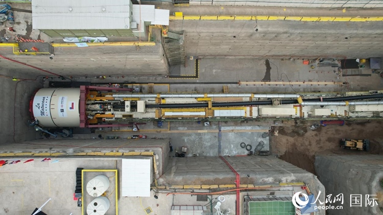 質(zhì)構(gòu)機(jī)全景。陳露明攝