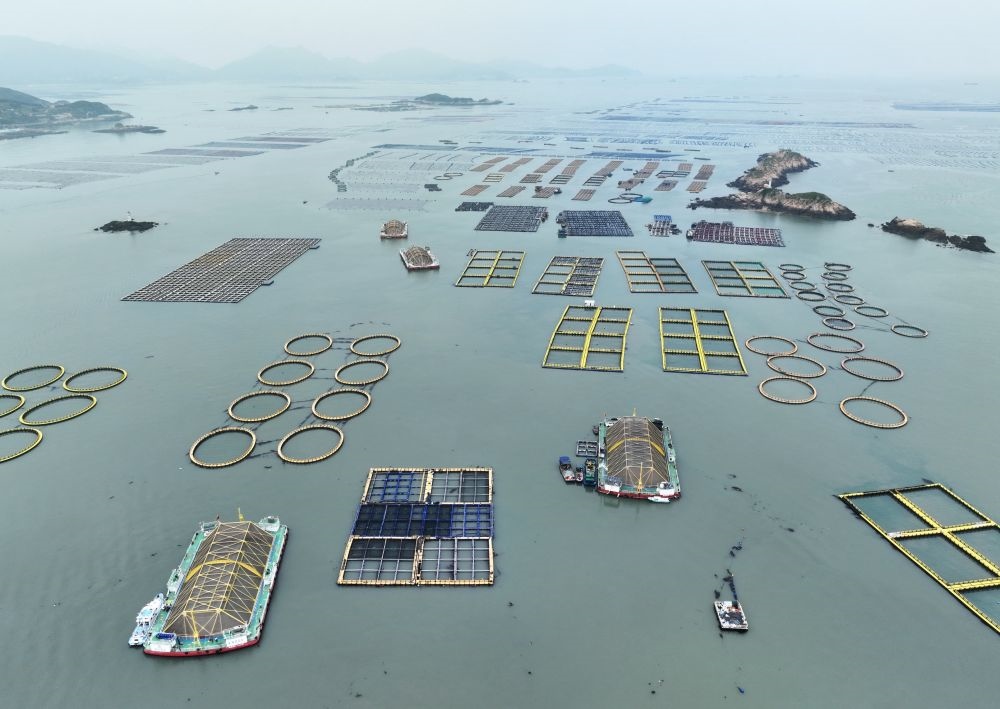 在福建連江定海灣海域，坐落著“定海灣1號”“定海灣2號”等深遠(yuǎn)海養(yǎng)殖平臺（2024年5月7日攝，無人機照片）。新華社記者 林善傳 攝