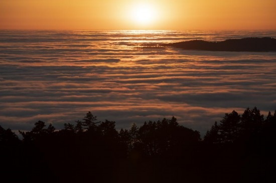 這是5月14日在美國加利福尼亞州馬林縣拍攝的云海。新華社發(fā)（李建國攝）