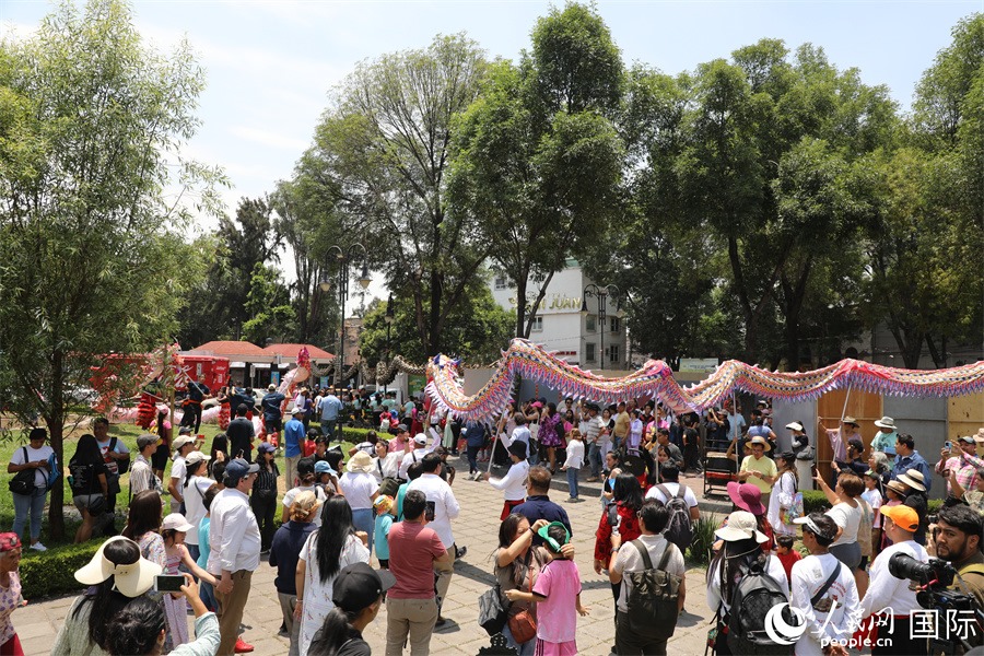 活動(dòng)現(xiàn)場。人民網(wǎng) 埃內(nèi)斯托·多明戈斯攝