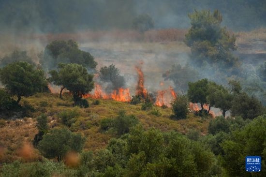6月12日，以色列北部加利利地區(qū)遭受火箭彈襲擊后冒出滾滾濃煙。新華社發(fā)（阿亞爾·馬戈林?jǐn)z/基尼圖片社）
