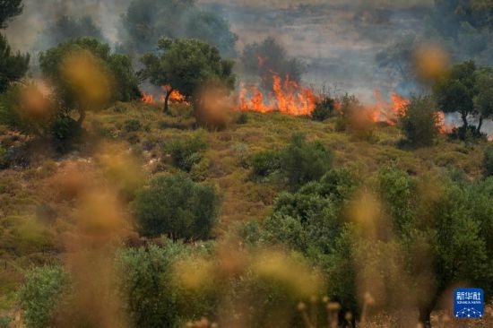 6月12日，以色列北部加利利地區(qū)遭受火箭彈襲擊后冒出滾滾濃煙。新華社發(fā)（阿亞爾·馬戈林?jǐn)z/基尼圖片社）