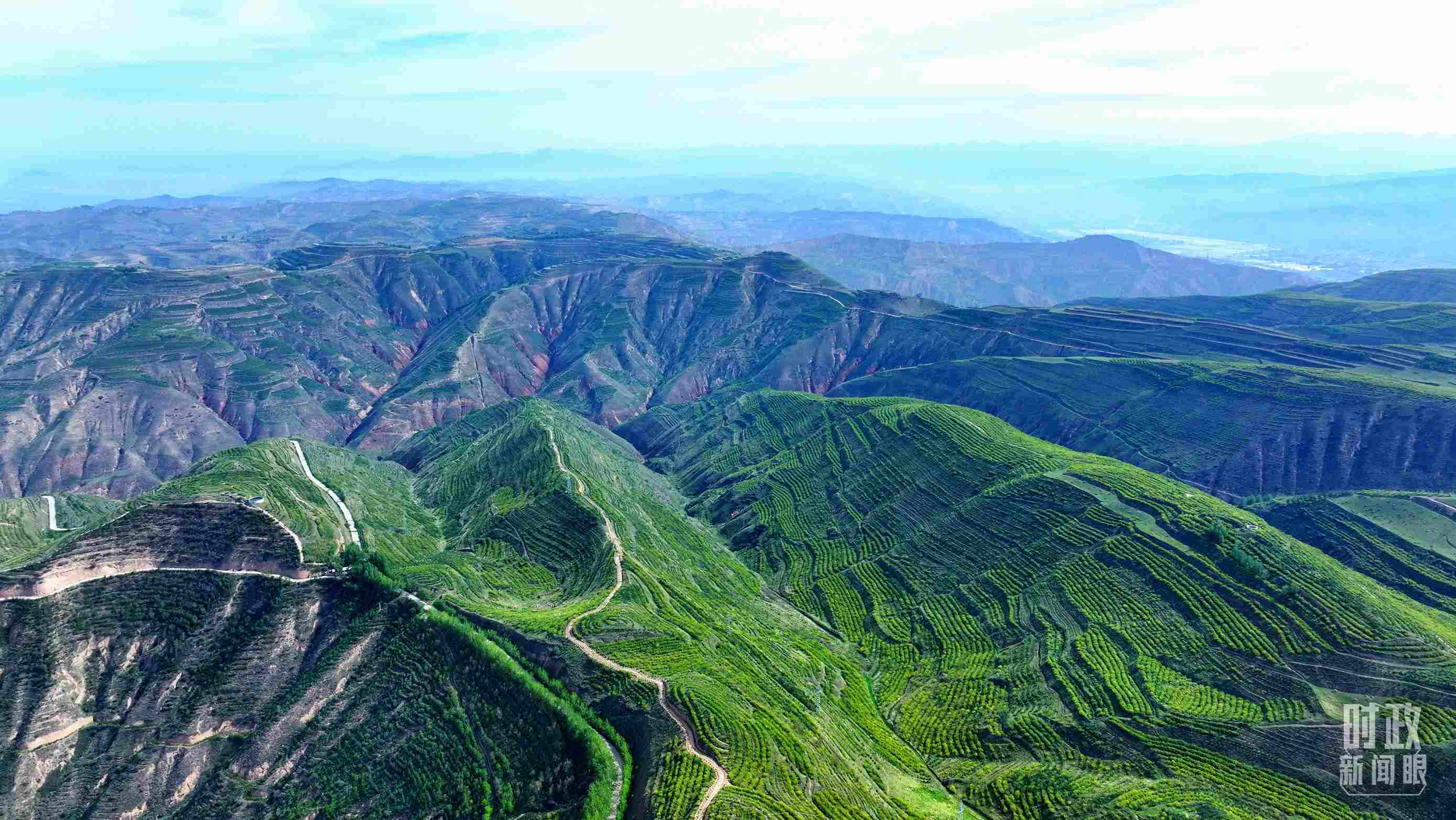 △青海西寧。（總臺(tái)記者柳成拍攝）