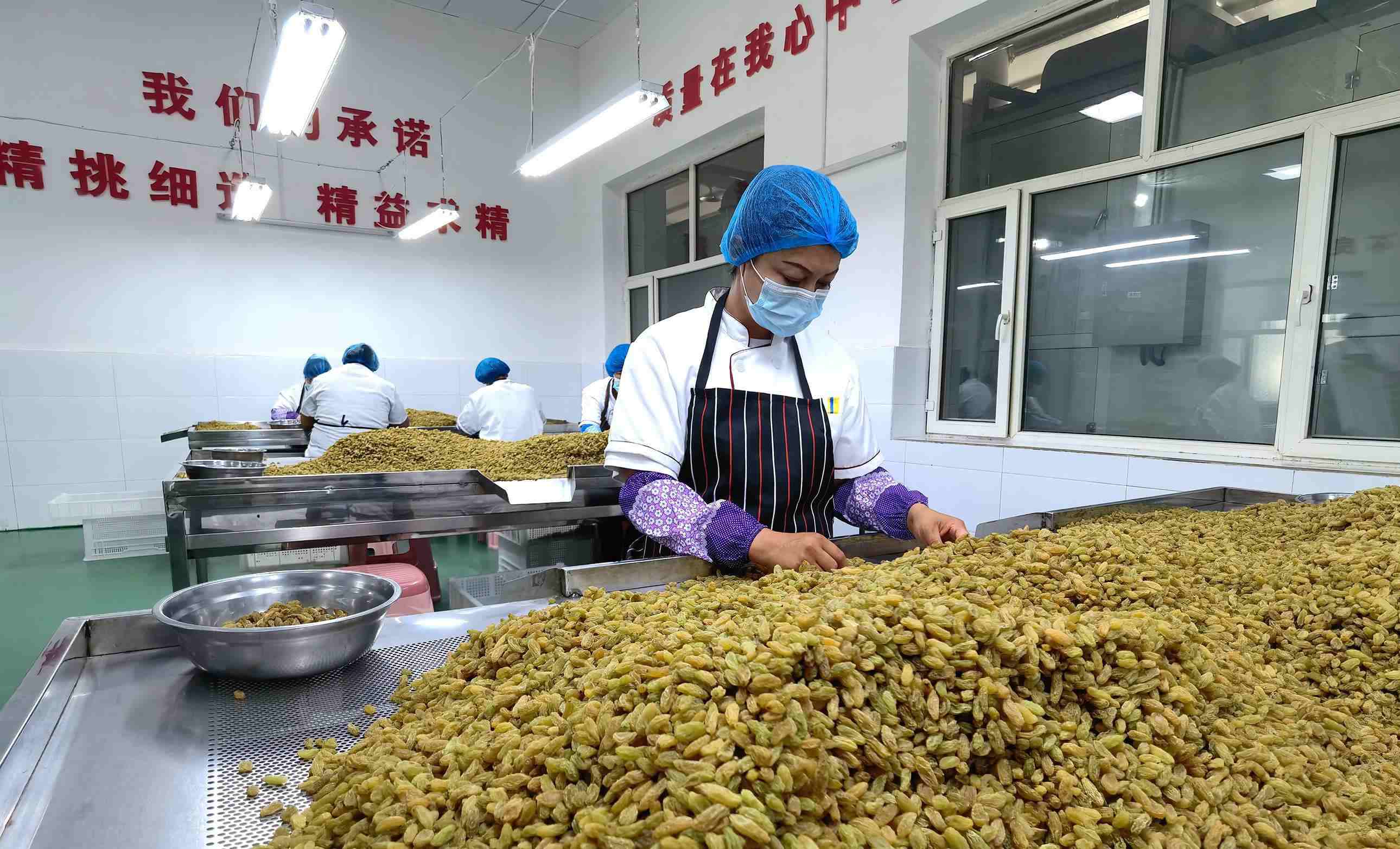 新疆吐魯番市高昌區(qū)亞爾鎮(zhèn)新城西門村，村民們在分揀葡萄干。