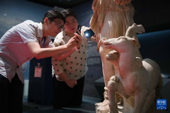 7月2日，安徽博物院工作人員在拍攝開(kāi)箱后的古希臘文物。新華社記者 張端 攝