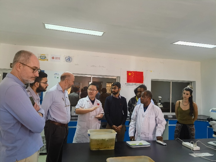 活動(dòng)現(xiàn)場(chǎng)。專(zhuān)家組供圖