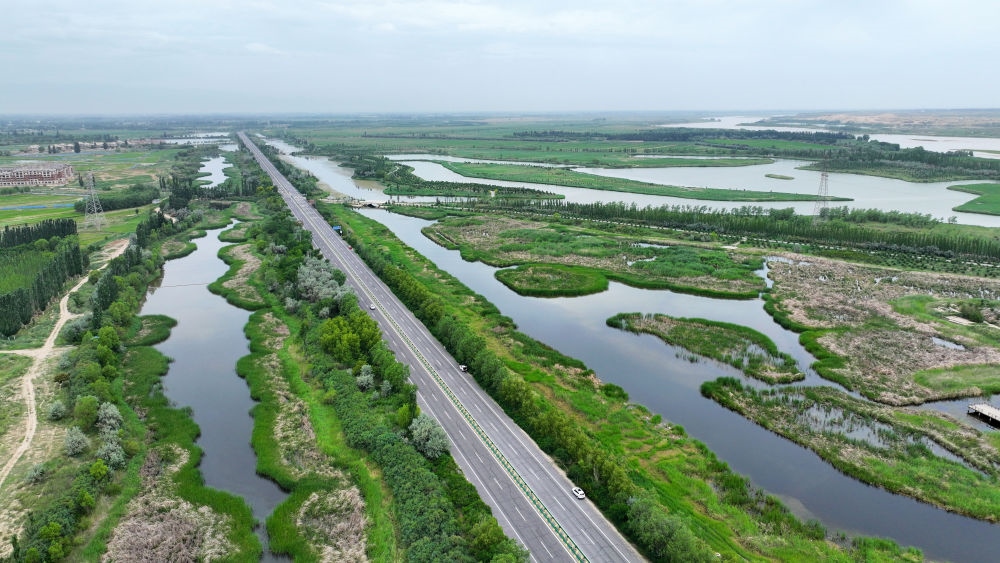 這是2024年6月13日拍攝的黃河寧夏段濱河大道（無人機(jī)照片）。近年來，寧夏努力建設(shè)黃河流域生態(tài)保護(hù)和高質(zhì)量發(fā)展先行區(qū)，全力打好黃河保護(hù)持久戰(zhàn)。新華社記者 王鵬 攝