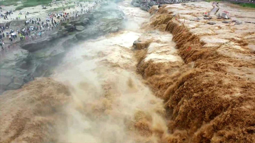 黃河壺口瀑布水量大增，出現(xiàn)壯美黃色瀑布群景觀。新華社發(fā) 呂桂明 攝