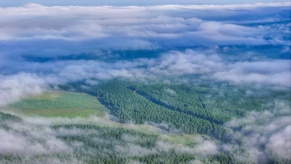 2024年7月26日拍攝的塞罕壩國(guó)家級(jí)自然保護(hù)區(qū)景色。新華社發(fā)（劉滿倉(cāng) 攝）