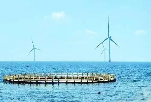 △山東萊州風(fēng)電項(xiàng)目實(shí)現(xiàn)了海上風(fēng)電和海洋牧場(chǎng)融合發(fā)展。