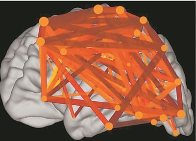 圖上的線條代表大腦皮層中與語言處理相關(guān)的各個(gè)區(qū)域之間的連接。當(dāng)閱讀時(shí)，這些區(qū)域的神經(jīng)元會(huì)以精確同步的方式激發(fā)，這種現(xiàn)象被稱為共同漣漪。圖片來源：加州大學(xué)圣迭戈分校