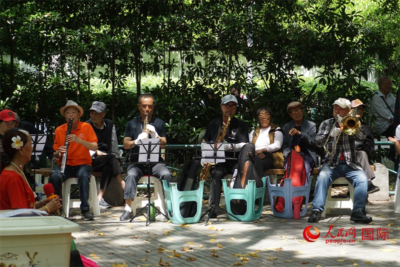 成都居民在公園里演奏歌曲。人民網(wǎng) 王禹蘅攝