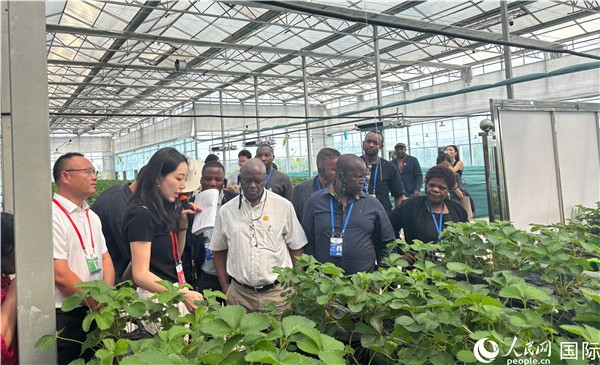 研討班成員在大棚中了解植物種植技術(shù)。人民網(wǎng) 曹欣悅攝