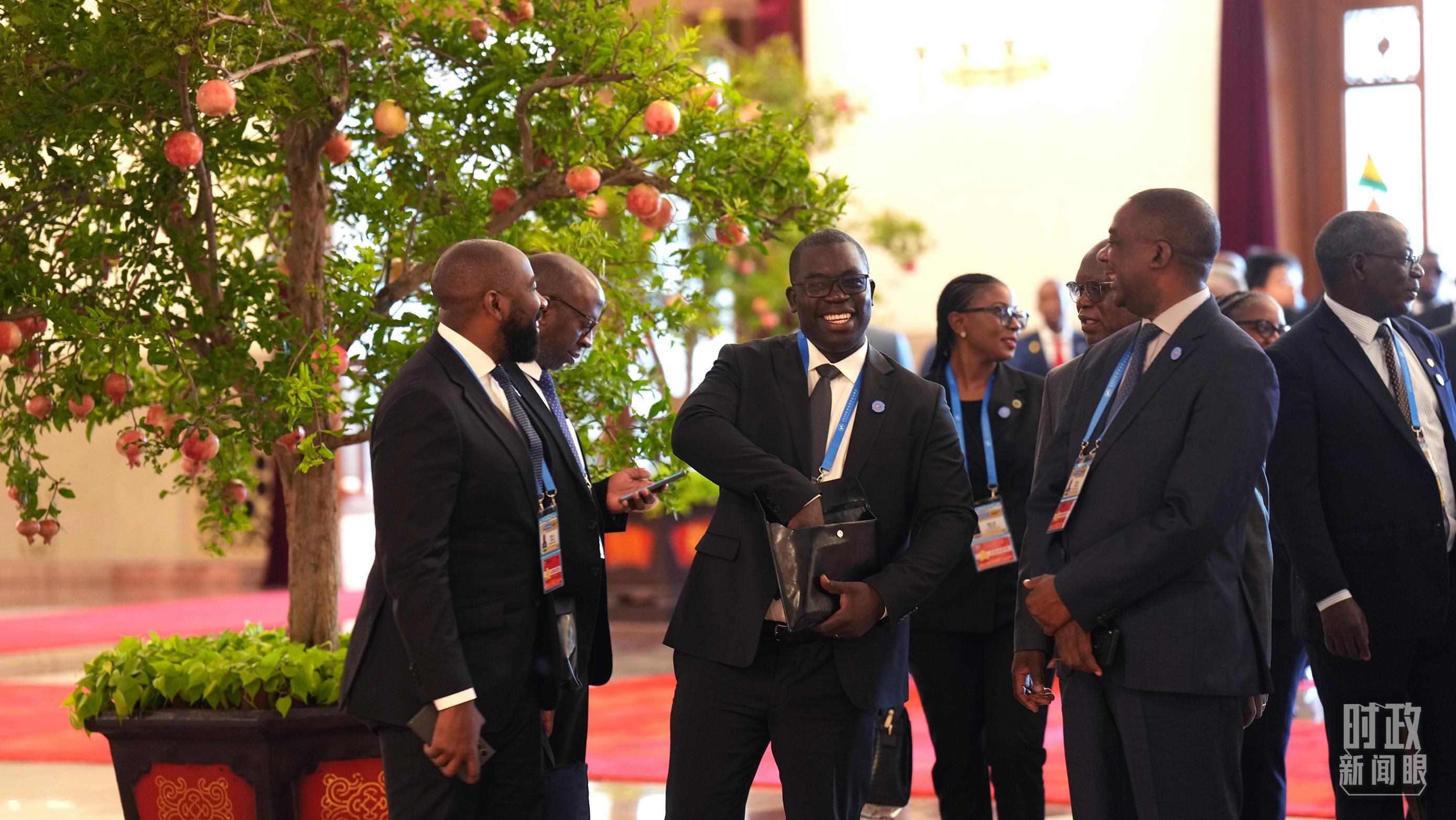 出席中非合作論壇北京峰會(huì)的非洲國(guó)家代表。（總臺(tái)記者李晉拍攝）