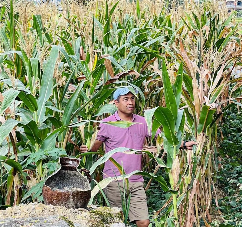不是攀登石林高臺(tái)，就是鉆入玉米莊稼地，吉爾吉斯斯坦《自由之山報(bào)》總編輯納拉雷·阿桑巴耶夫“身手不凡”，與生長(zhǎng)旺盛的玉米構(gòu)成了花茂村的鄉(xiāng)間野趣。（張亞欣攝）