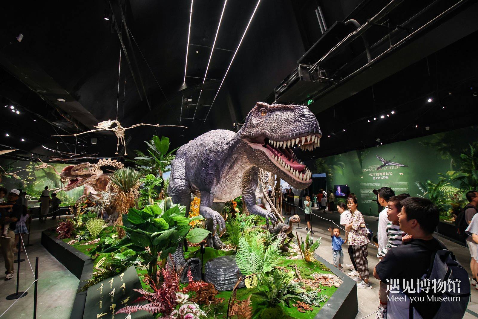 2. 游客參觀“2億年的地球記憶——恐龍化石特展”。遇見博物館供圖
