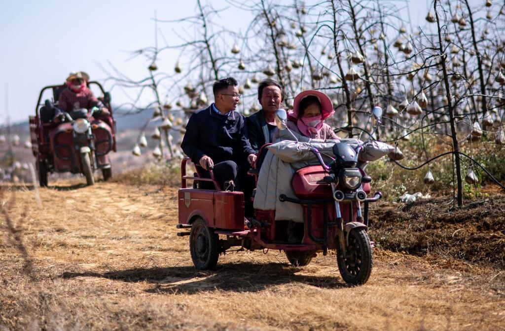 全國人大代表袁海波（右三）在云南省曲靖市馬龍區(qū)一種植基地了解務(wù)工人員就業(yè)需求（2023年2月11日攝）。新華社記者 江文耀 攝