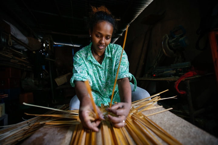 2024年8月10日，菲基爾特·加布雷在埃塞俄比亞首都亞的斯亞貝巴名為“綠色金子”的竹藤工作室里加工竹制產(chǎn)品。新華社發(fā)（邁克爾·特韋爾德 攝）