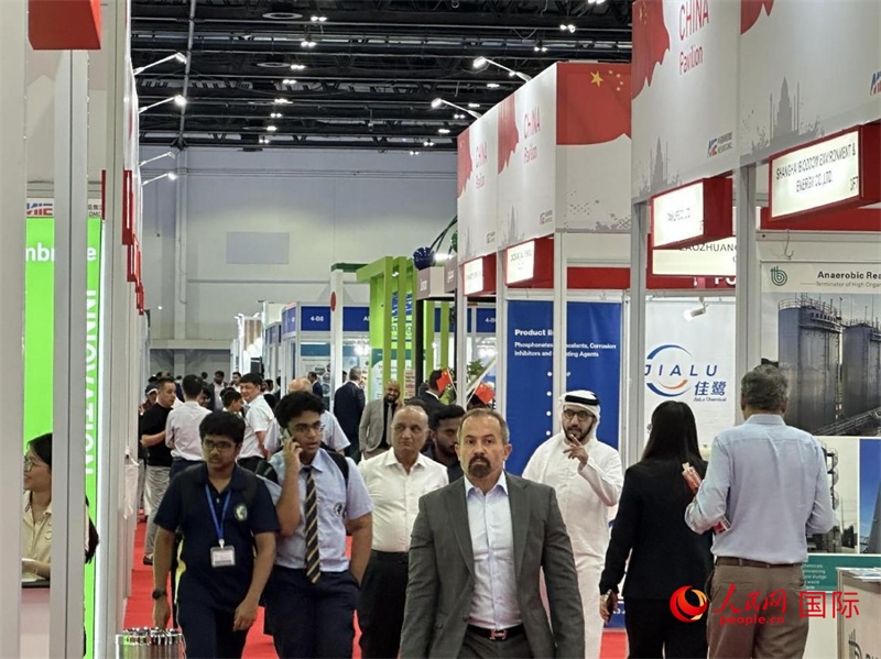 中國館一角。人民網(wǎng)記者管克江攝