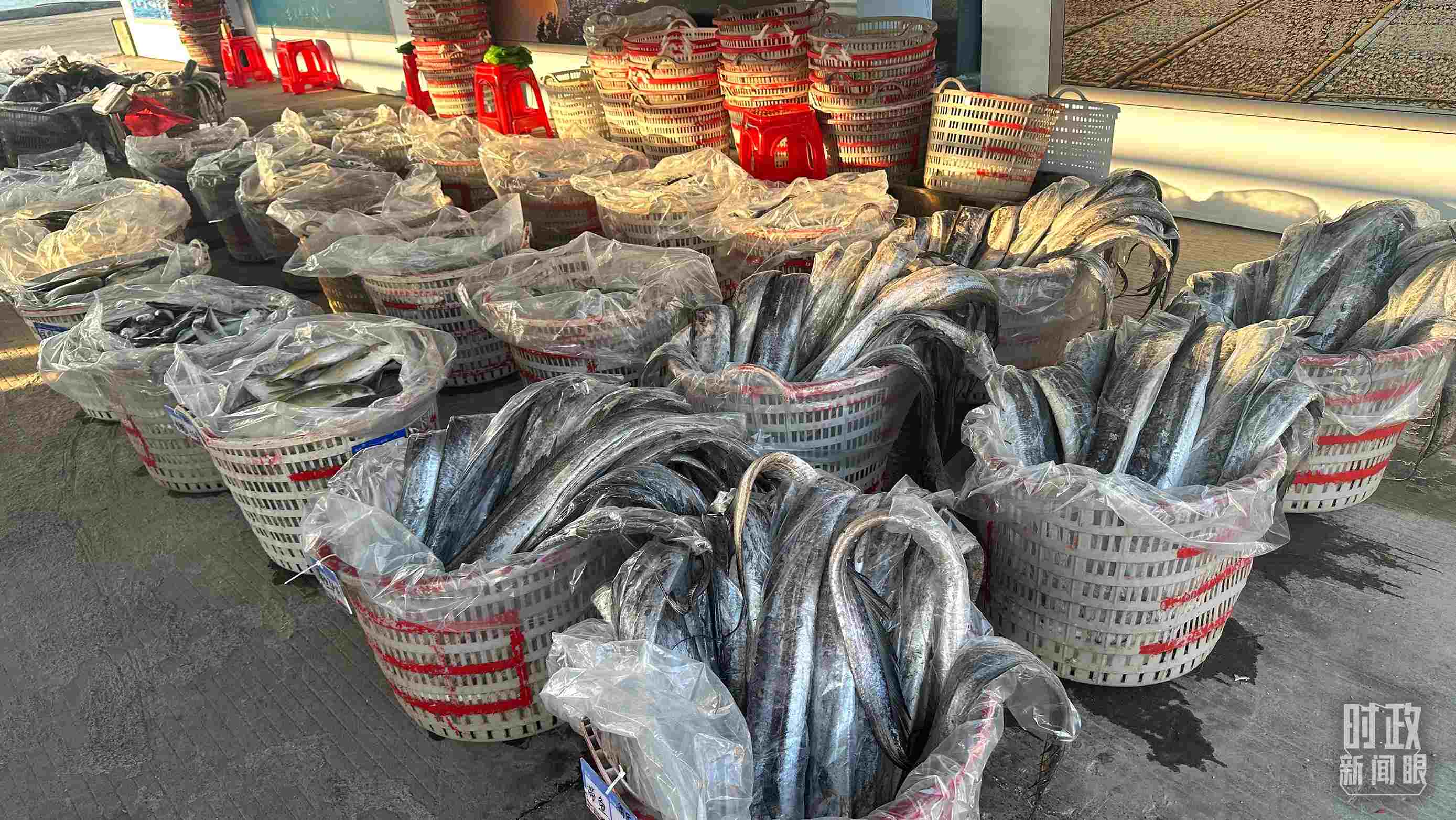 △澳角村的海產(chǎn)品。（總臺(tái)央視記者覃思拍攝）