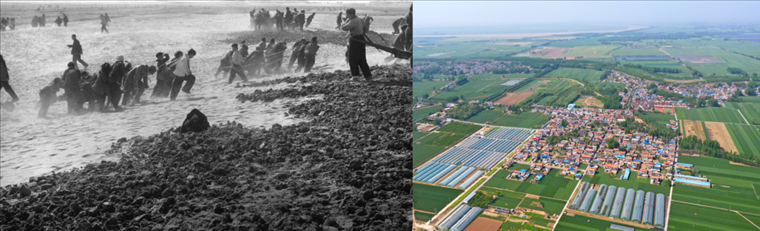 拼版照片：左圖為蘭考群眾在拉淤土壓沙（新華社記者 鄧歷耕 攝）；右圖為2024年4月25日拍攝的蘭考縣張莊村（無人機(jī)照片，新華社記者 郝源 攝）。