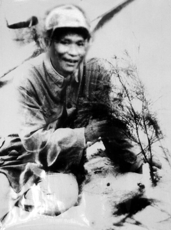 谷文昌與試種成活的木麻黃（資料照片）。為了治沙，谷文昌爬遍了東山縣400多個(gè)山頭，踏遍了30多公里的沙灘，終于帶領(lǐng)東山人民試種木麻黃成功。