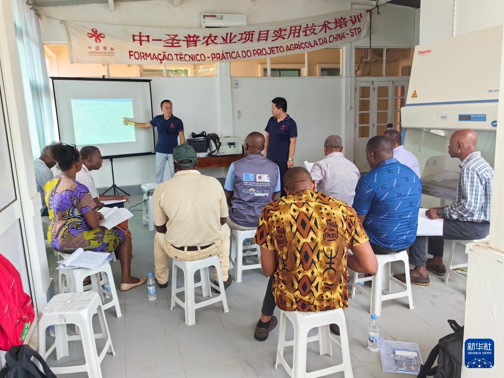 中國援圣普農(nóng)牧業(yè)技術(shù)項目組專家段振華（后左）在圣多美和普林西比的國家獸醫(yī)實驗室開展動物疫病監(jiān)測技術(shù)培訓(xùn)（2024年6月21日攝）。新華社發(fā)（中國援圣普農(nóng)技組供圖）