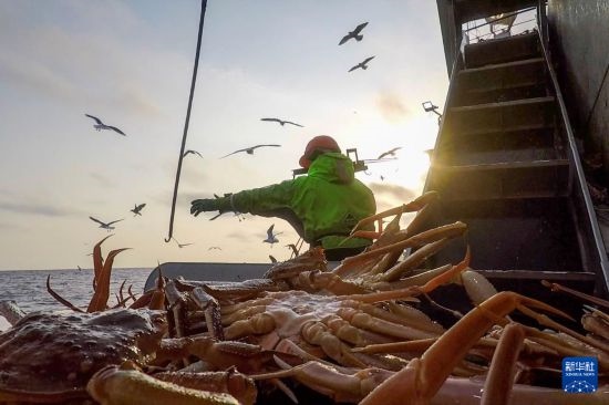 這是俄羅斯蟹業(yè)集團(tuán)工作人員進(jìn)行遠(yuǎn)洋捕撈的資料照片。新華社發(fā)（俄羅斯蟹業(yè)集團(tuán)供圖）