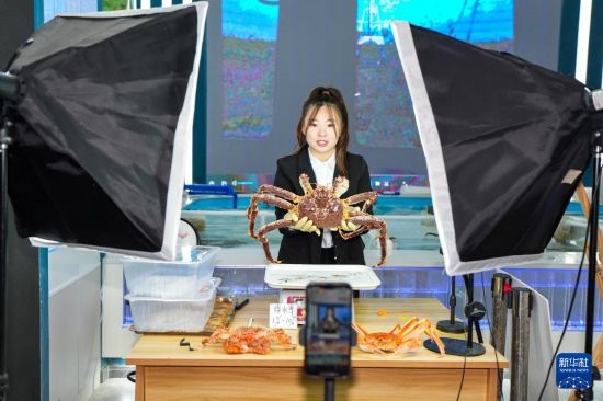 9月20日，在吉林省琿春市的帝王蟹保稅店內(nèi)，工作人員進(jìn)行網(wǎng)絡(luò)直播售賣帝王蟹。新華社記者 許暢 攝